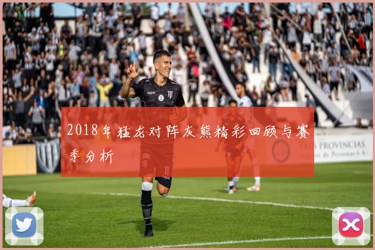 2018年猛龙对阵灰熊精彩回顾与赛季分析