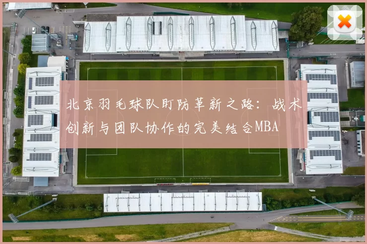北京羽毛球队盯防革新之路：战术创新与团队协作的完美结合MBA