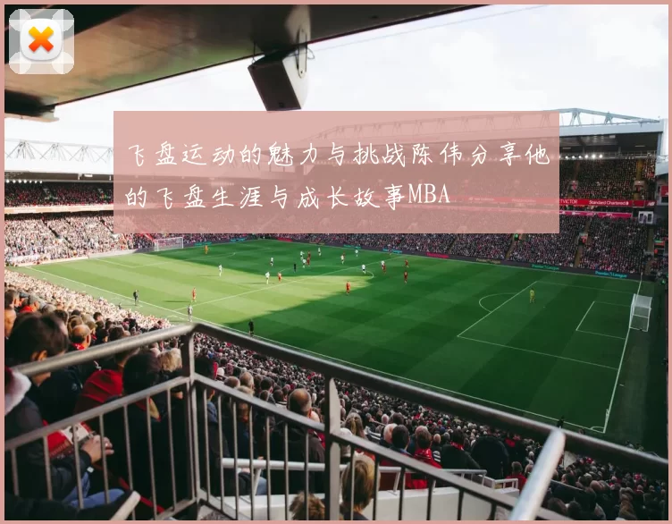 飞盘运动的魅力与挑战陈伟分享他的飞盘生涯与成长故事MBA