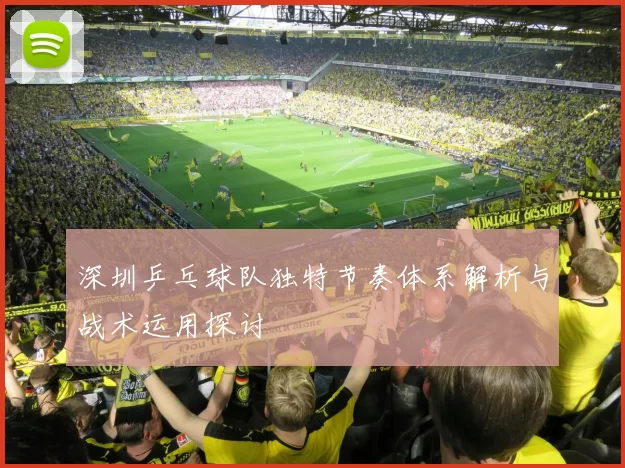 深圳乒乓球队独特节奏体系解析与战术运用探讨