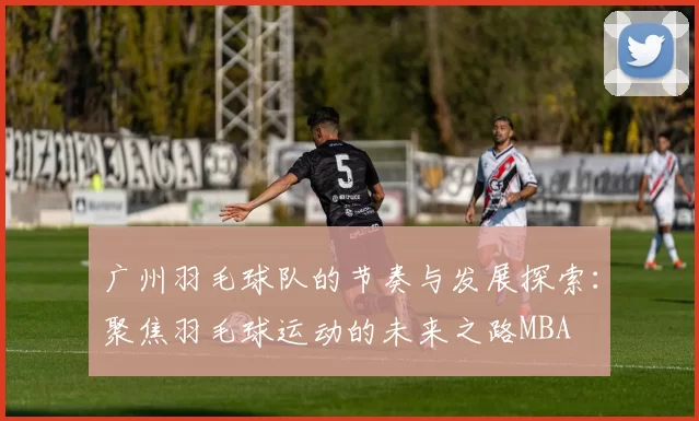 广州羽毛球队的节奏与发展探索：聚焦羽毛球运动的未来之路MBA