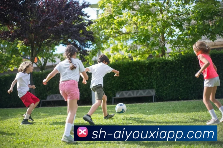 爱游戏体育APP 高清赛事图